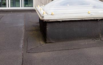 disadvantages of Bunny Hill flat roofs