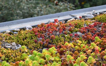 the cost of Bunny Hill green roof installation
