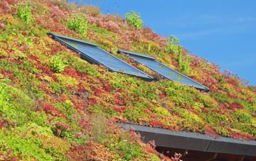 Bunny Hill living roof systems