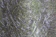 Bunny Hill fibreglass roof work