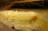 Bunny Hill pitch roof insulation